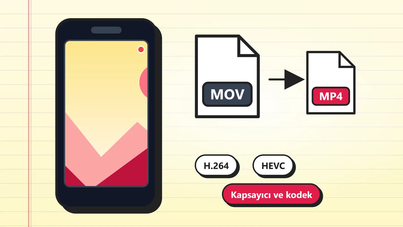 Video dönüşümünü gösteren çizim: telefon, MOV dosyasından MP4 dosyasına ok, H.264 ve HEVC kodek etiketleri ve Kapsayıcı ve kodek etiketi